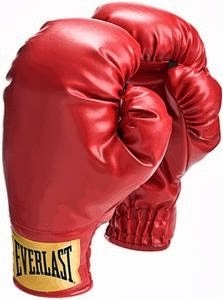everlast-laceless-boxing-training-gloves