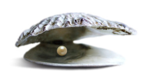 pearl-oyster-sea-farming-101