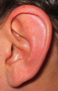 382px-Ear