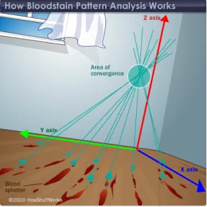 Bloodstain Pattern Analysis. BPA. BLOOD SPLATTER. On Black