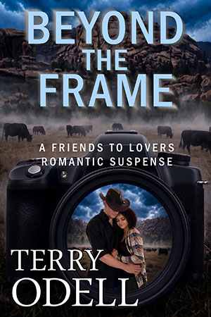 Cover of Beyond the Frame by Terry Odell